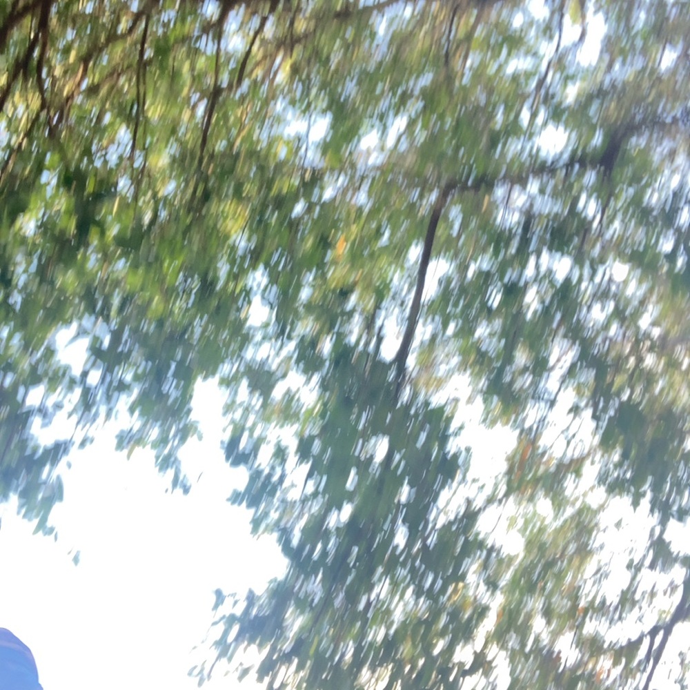 Meet your Posher, Rihanna